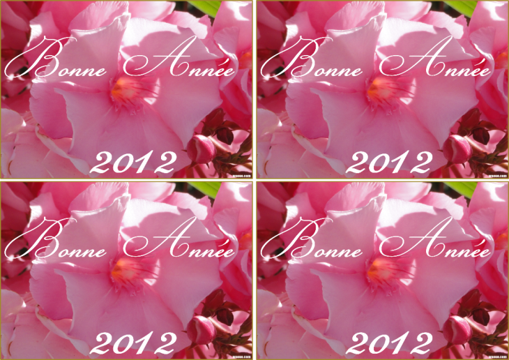Carte de voeux  avec des fleurs roses  imprimer