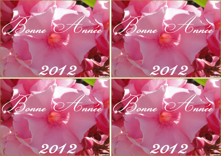 Carte de voeux avec des fleurs roses imprimer