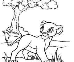 Coloriage Le roi lion simba