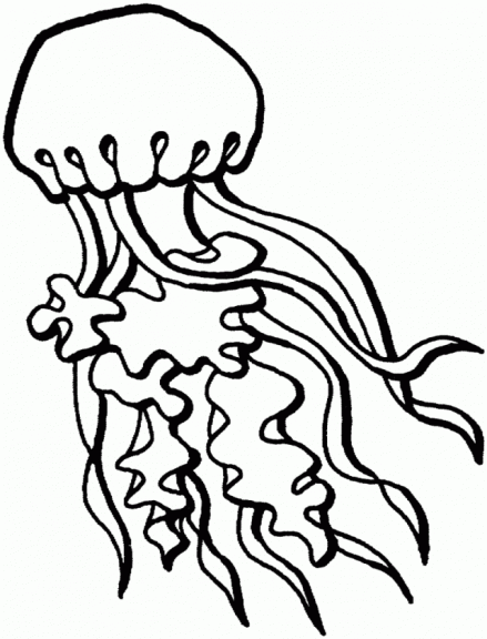 Jellyfish coloring page