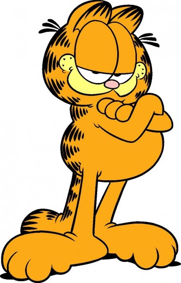 Garfield photo hd