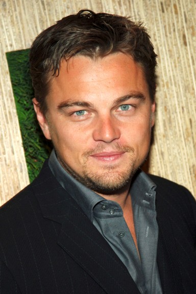 Gesicht von Leonardo Dicaprio