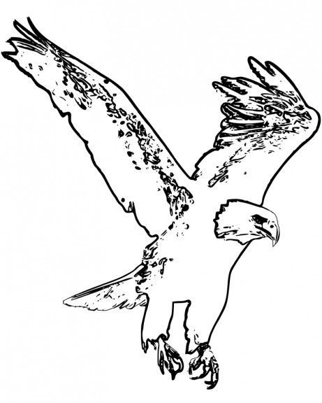 Eagle in flight coloring page