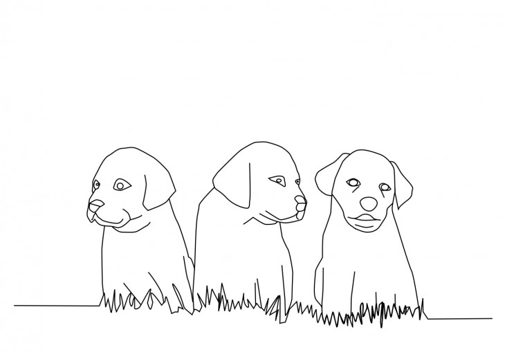 Puppies in the grass coloring page