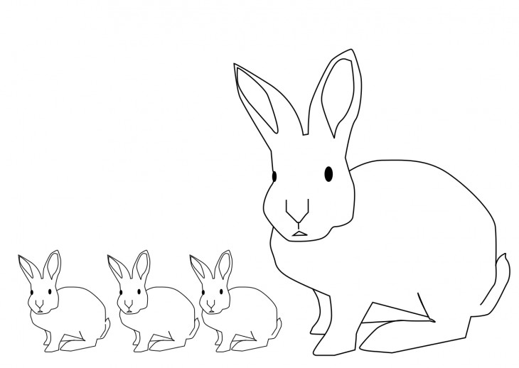 Coloriage lapins