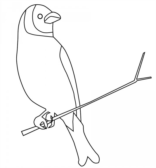 Bird on a tree branch coloring page