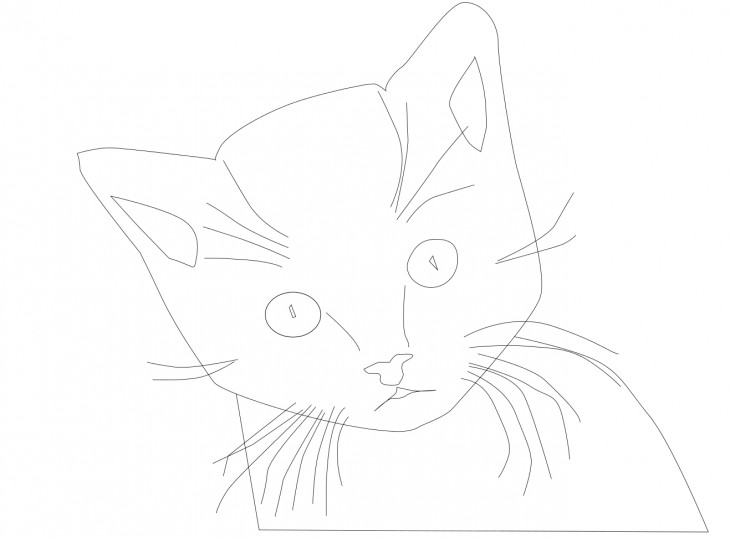 Coloriage visage chat