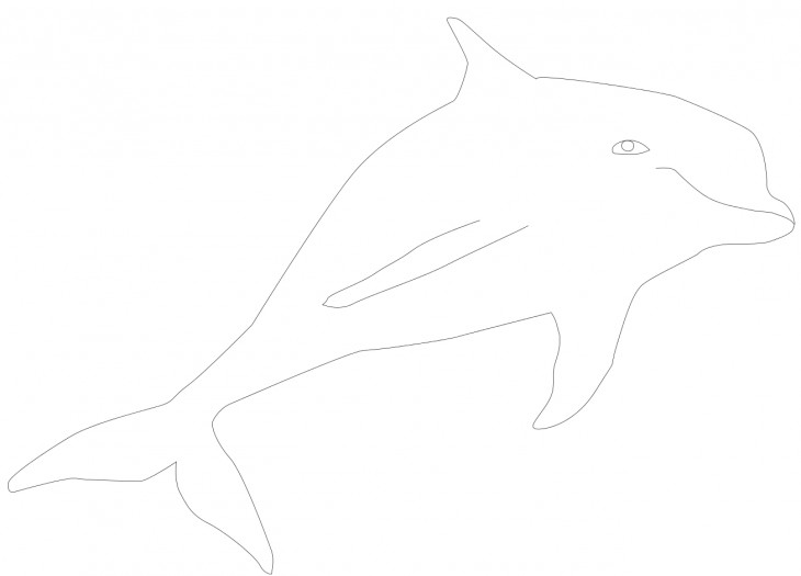 colorear delfines