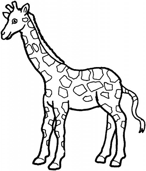 Zeichnung einer Giraffe zum Ausmalen