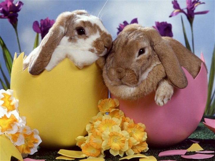 Easter bunnies