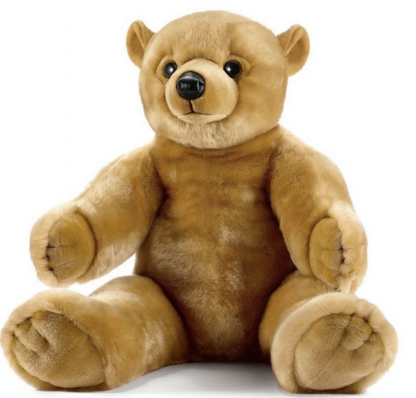 Teddybär