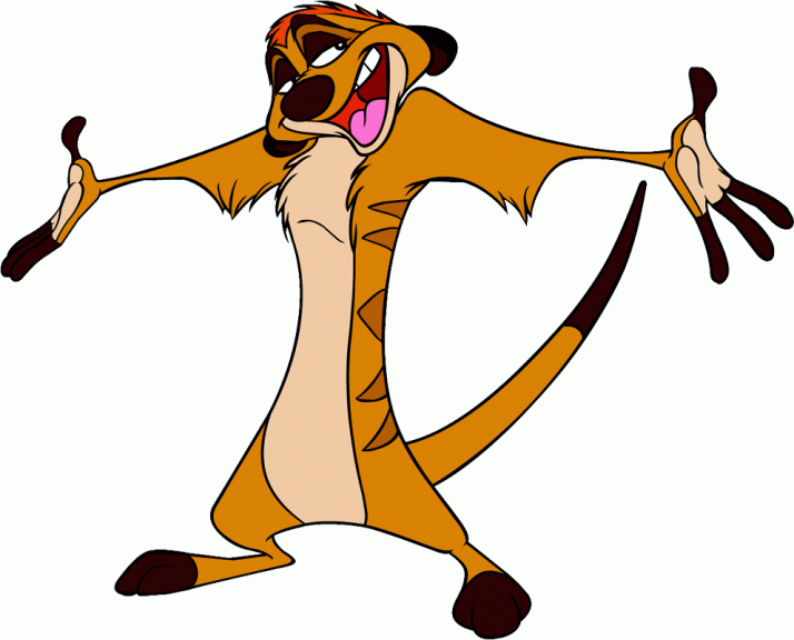 Timon