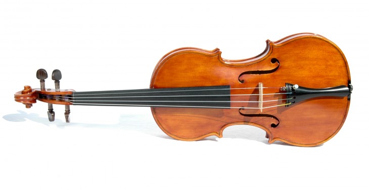 Violin instrument music