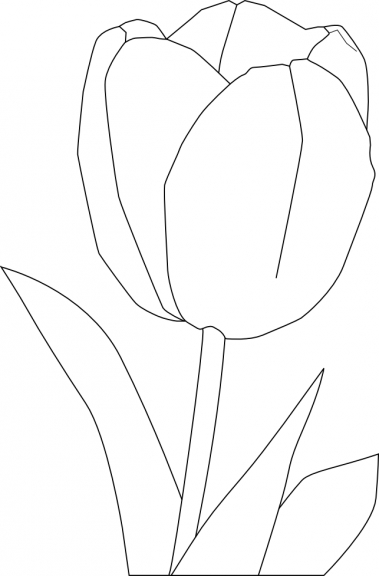 Dibujo de tulipán para colorear