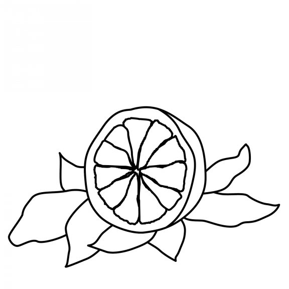 Orange fruit coloring page