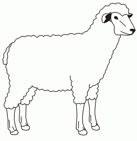 Sheep coloring page