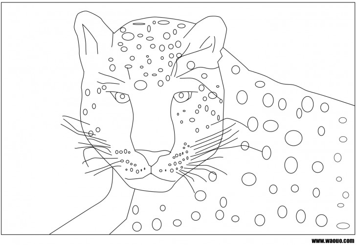 Panther coloring page 