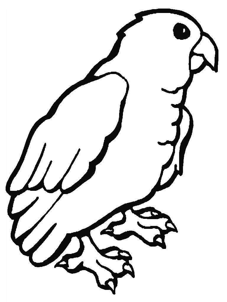 Coloriage perroquet