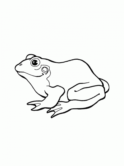 Grenouille coloriage