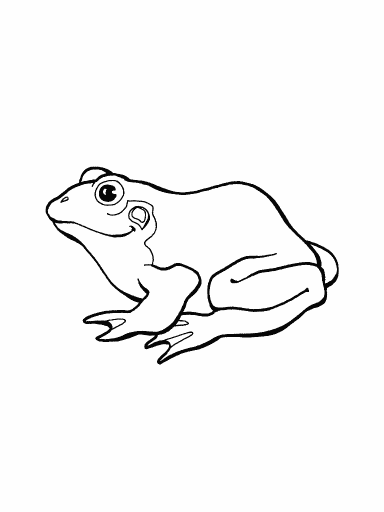 Grenouille coloriage