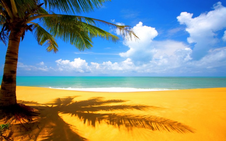 Tropical beach with sun