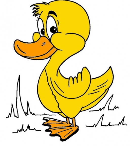 Cartoon duck