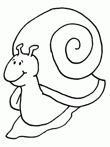 Snail coloring page