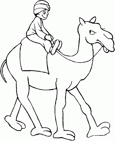 Camel coloring page