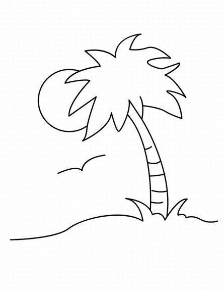 Palm tree coloring page