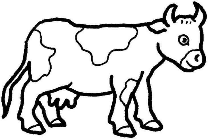 Cow coloring page