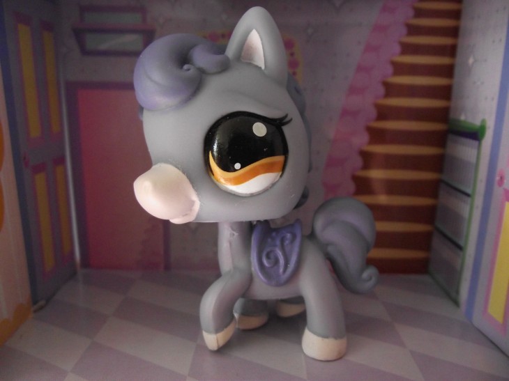 Tienda de mascotas Poni gris