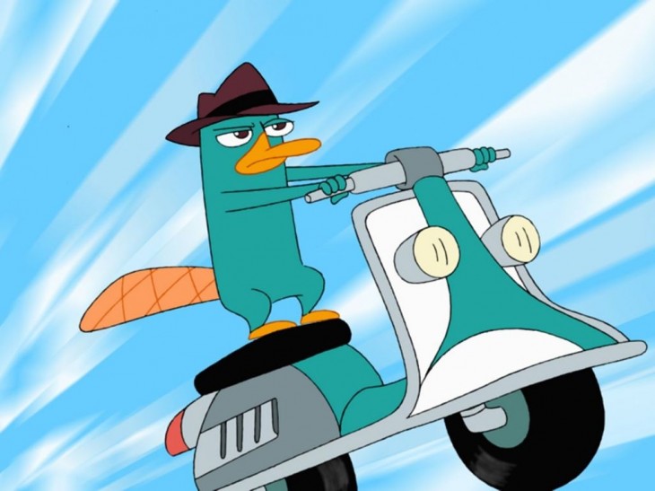 Perry the platypus