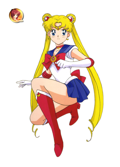 Sailor Moon Bunny