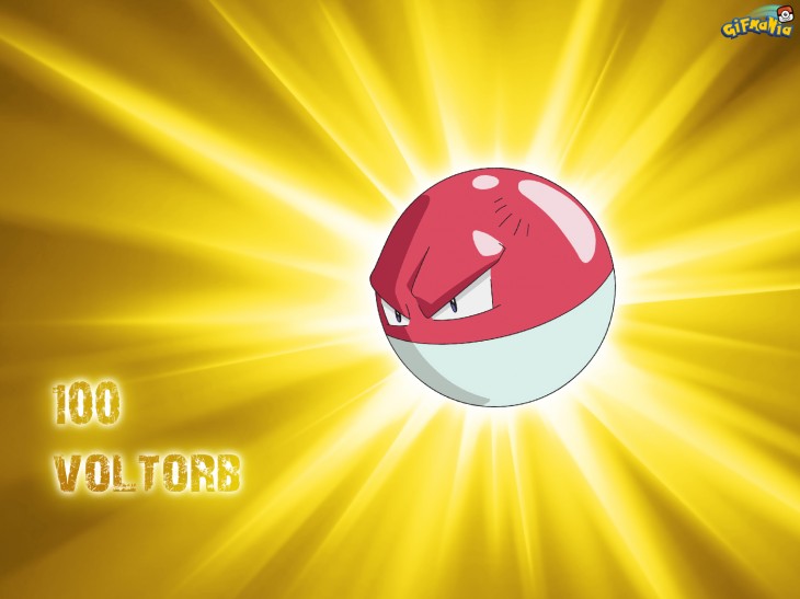 Voltorbe Pokemon wallpaper