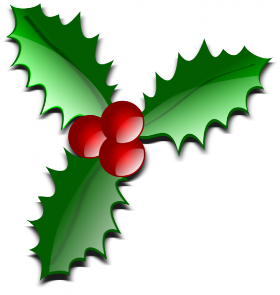 Holly leaf