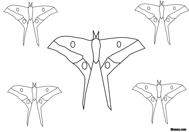 Schmetterlinge ausmalen