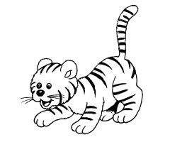 Coloriage bebe tigre
