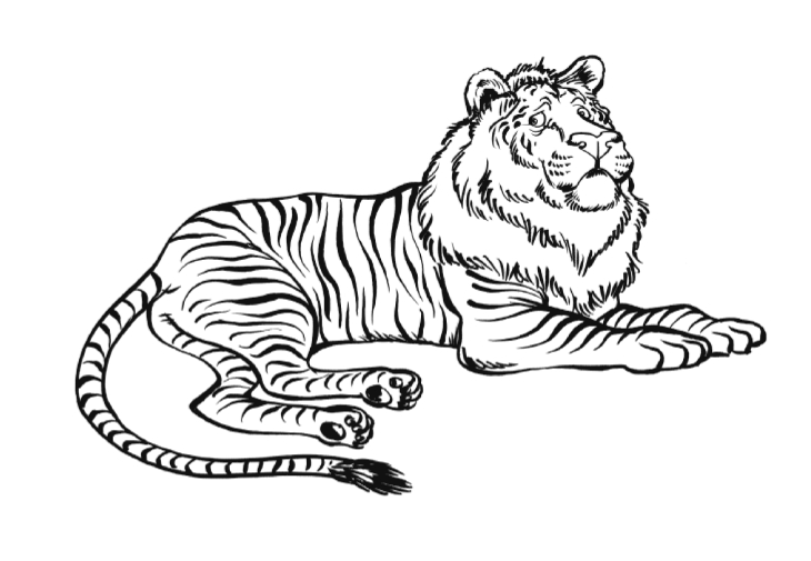 Liger coloring page