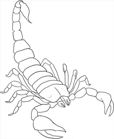 Scorpio coloring page