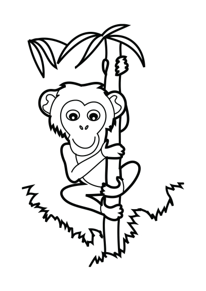 Desenho de bebê chimpanzé para colorir