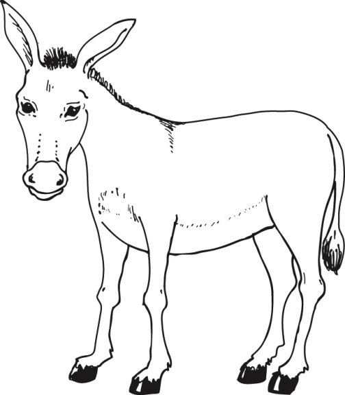 Dibujo de burro para colorear