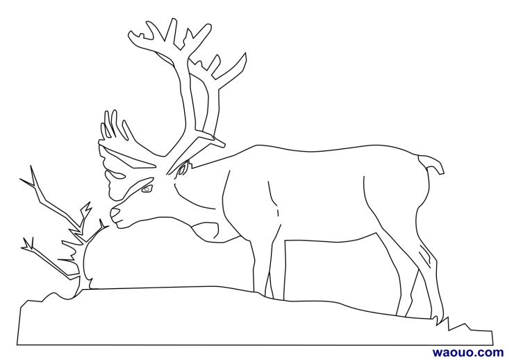 Santa Claus Elk Coloring Page