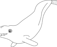 Coloriage Beluga