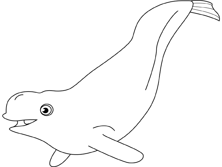 Coloriage Beluga