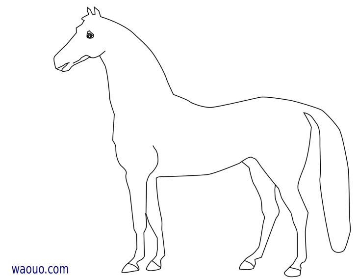 Free horse coloring