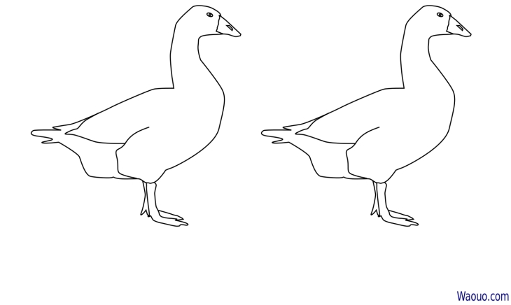 Goose coloring page