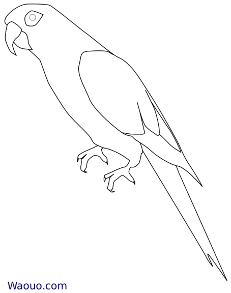 Macaw parrot coloring