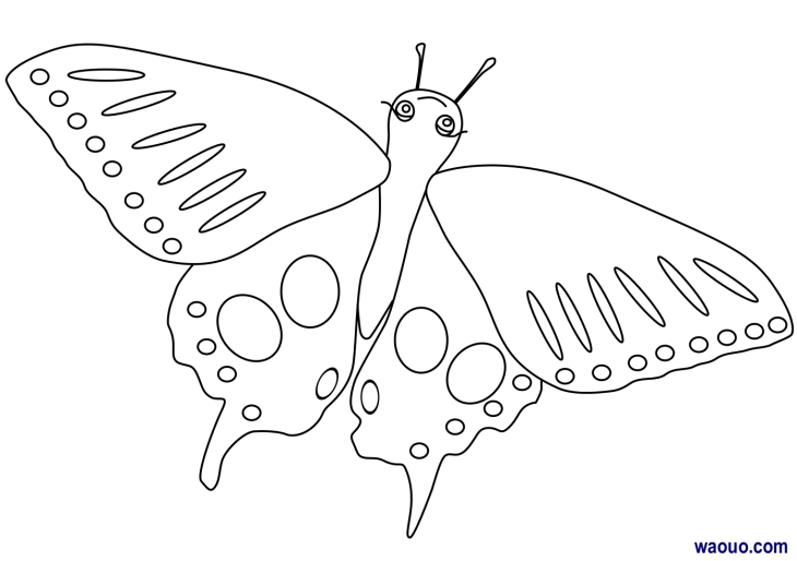 Coloriage papillon en vol