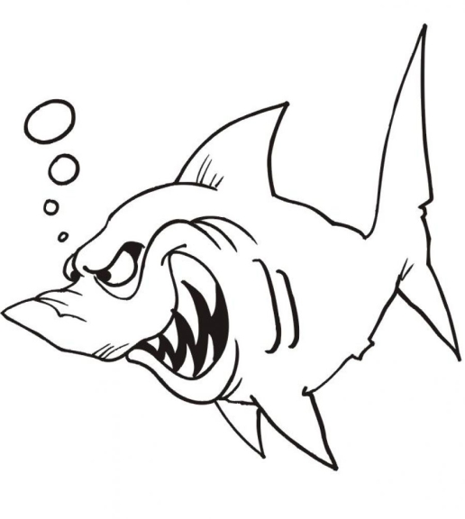 Shark coloring page