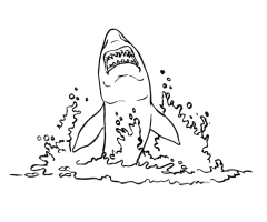 Requin dessin